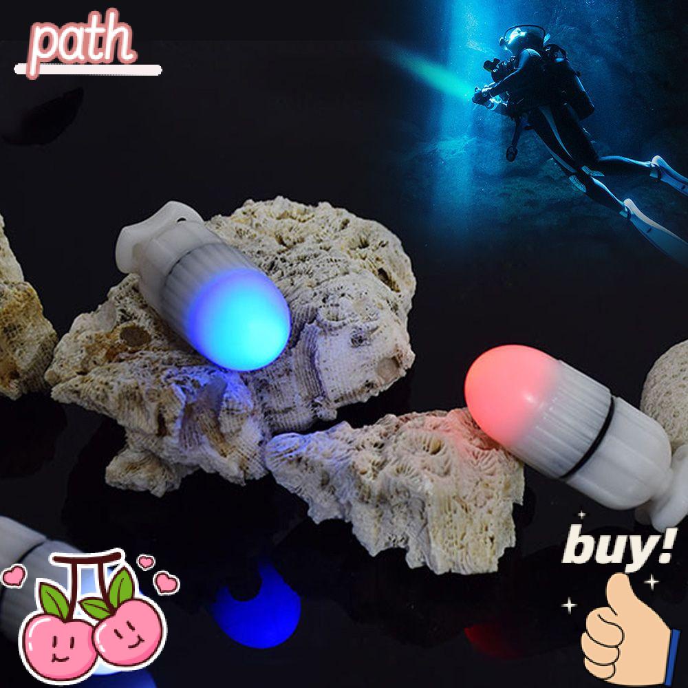 PATH Đèn Pin Câu Cá Mini Chuyên Dụng Chất Lượng