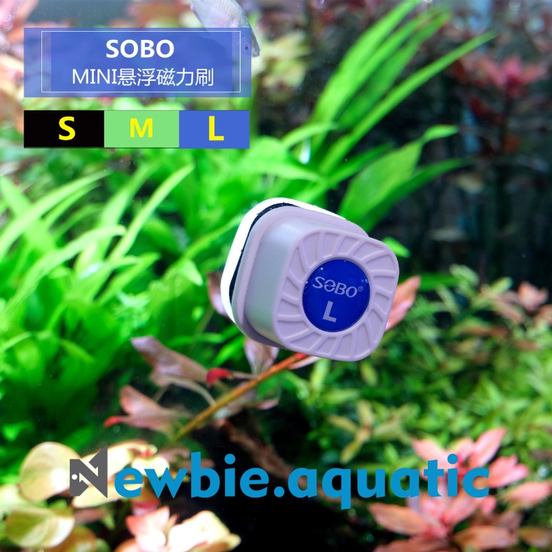 Nam châm vệ hít lau chùi vệ sinh hồ cá mini hiệu SOBO