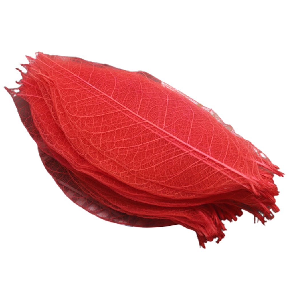 Bộ 100 Chiếc Lá Xương Tự Nhiên Nhiều Màu Sắc Dùng Đánh Dấu Trang Sách Kỉ Niệm