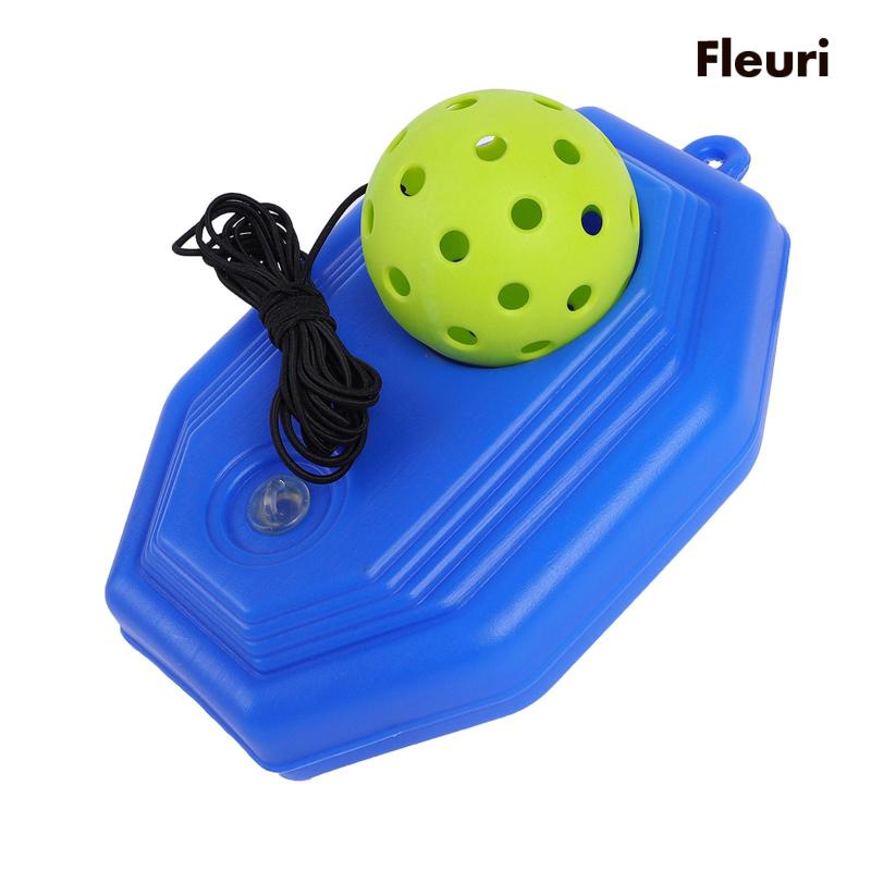 Bộ Dụng Cụ Luyện Tập Chơi Pickleball Trong Nhà Và Ngoài Trời