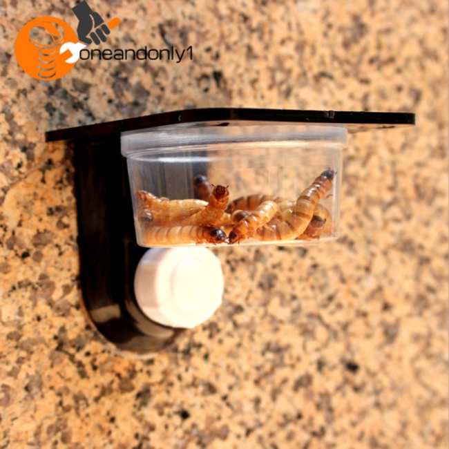 [COD] Chậu Rửa Thức Ăn Đa Năng Tiết Kiệm Nước Cho Bọ Rùa Nhện Xanh Lá Iguanas