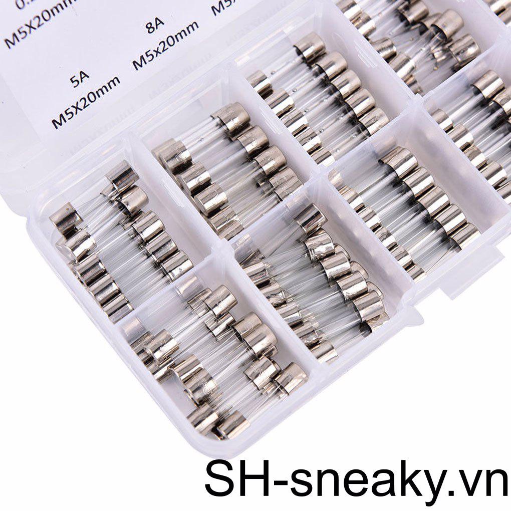 100 Cầu Chì Ống Thủy Tinh An Toàn Và Bền