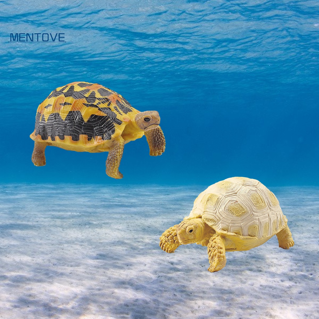 Mô Hình Rùa Biển 3D Sống Động Cho Bé