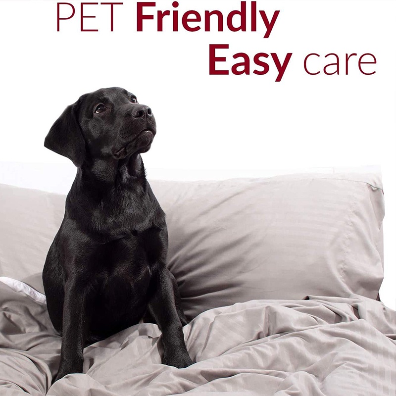 Ga Trải Giường Đôi / Toàn Bộ / Nữ Hoàng / King Size - 15-Inch Xếp Li Chống Bụi Bẩn Sang Trọng - Dễ Dàng Vừa Vặn, Chống Nhăn - 1 Ga Trải Giường - Sợi Nhỏ