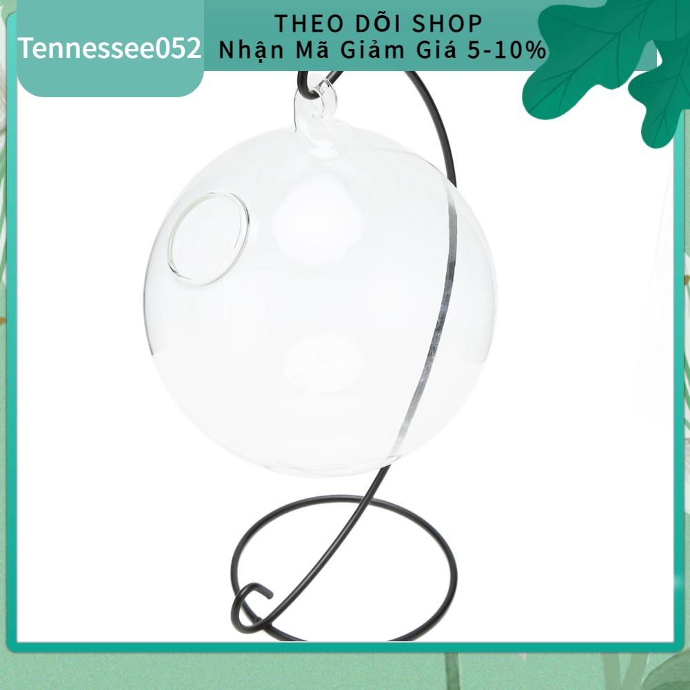 Tennessee052 Treo Bể Cá Thủy Tinh Để Bàn Trong Suốt Bát Có Chân Đế Trang Trí Văn Phòng Nhà Cửa