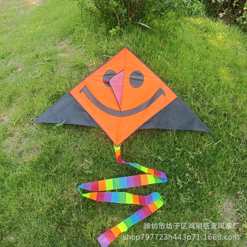 Diều Tam Giác Bằng Giấy Họa Tiết Nàng Tiên Cá Hoạt Hình Vui Nhộn Dễ Thương