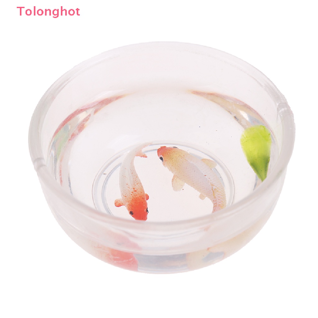 Bể Cá Mini Tỉ Lệ 1: 12 Dùng Trang Trí Nhà Búp Bê