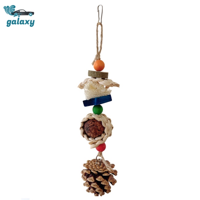 Galaxy Đồ Chơi Nhai Gặm Hình Nón Quả Thông Dành Cho Chim Vẹt