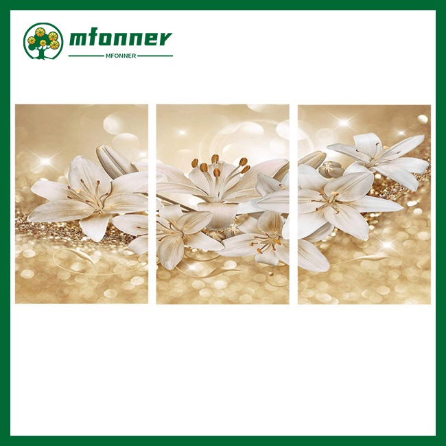 Mfonner Set 3 Tranh Canvas Không Khung Hình Hoa Lily Nhiều Màu Sắc Phong Cách Bắc Âu