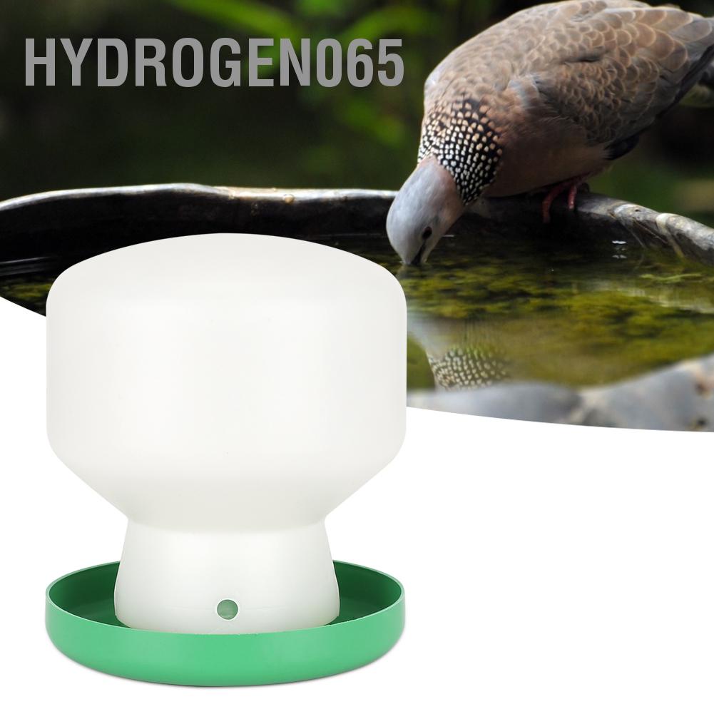 Hydrogen065 Lớn Nhựa Xanh Bao Trắng Nòng Vòi Nước Uống Tự Động Chim Ăn Đựng Cho Bồ Câu Vẹt