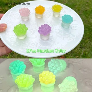 Set 2 đồ trang trí cây mọng nước màu dạ quang trang trí tiểu cảnh