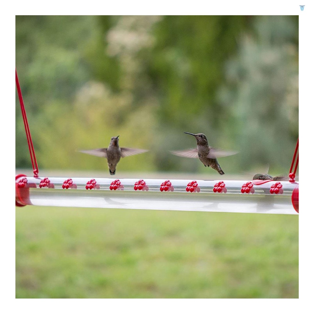 Dụng Cụ Cho Chim Ăn Màu Đỏ Trong Suốt 40cm / 15.7in Tiện Dụng