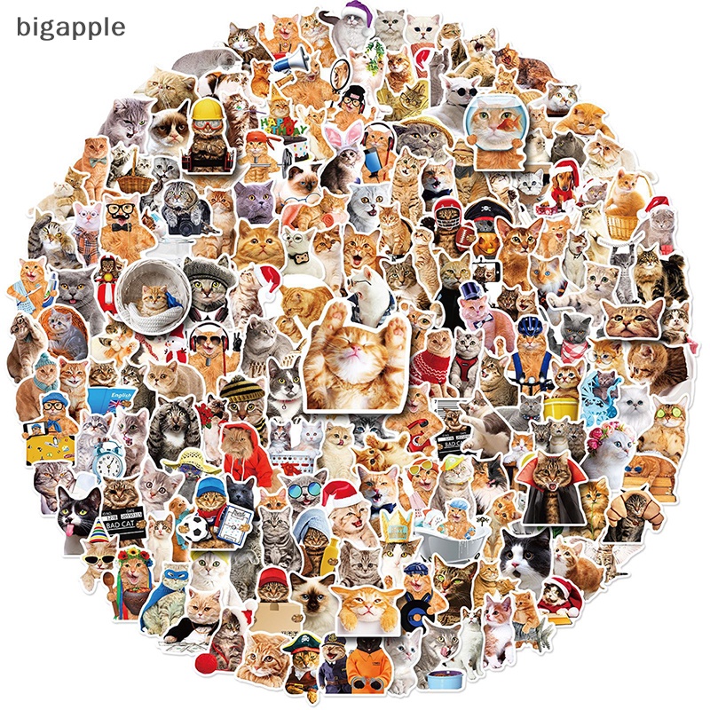 Bộ 50 Miếng Dán Họa Tiết Mèo Hoạt Hình Trang Trí Sổ Tay / Hành Lý / Xe Hơi