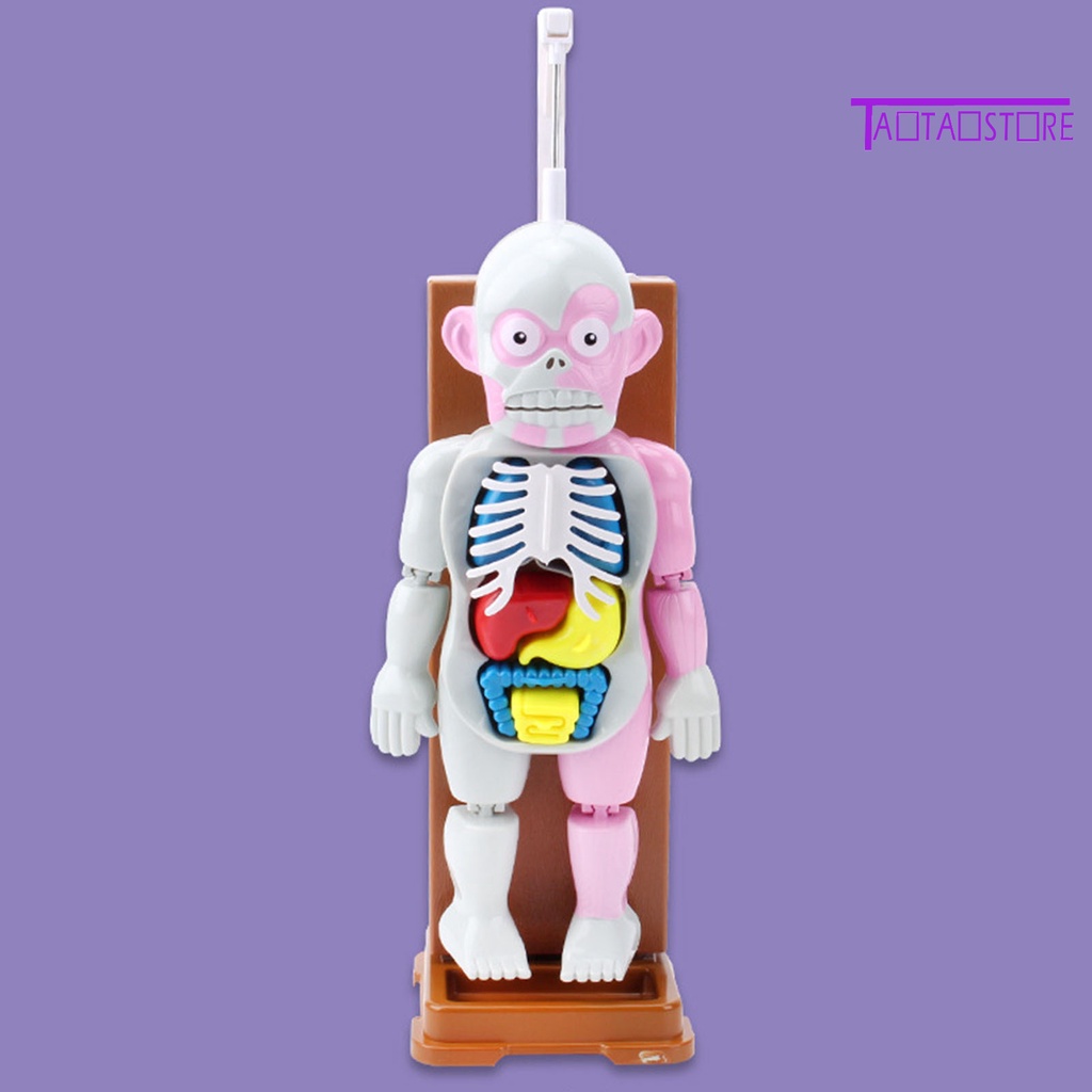 Set 37 Thẻ Ma Nơ Canh Phát Ra Âm Thanh Hóa Trang Halloween