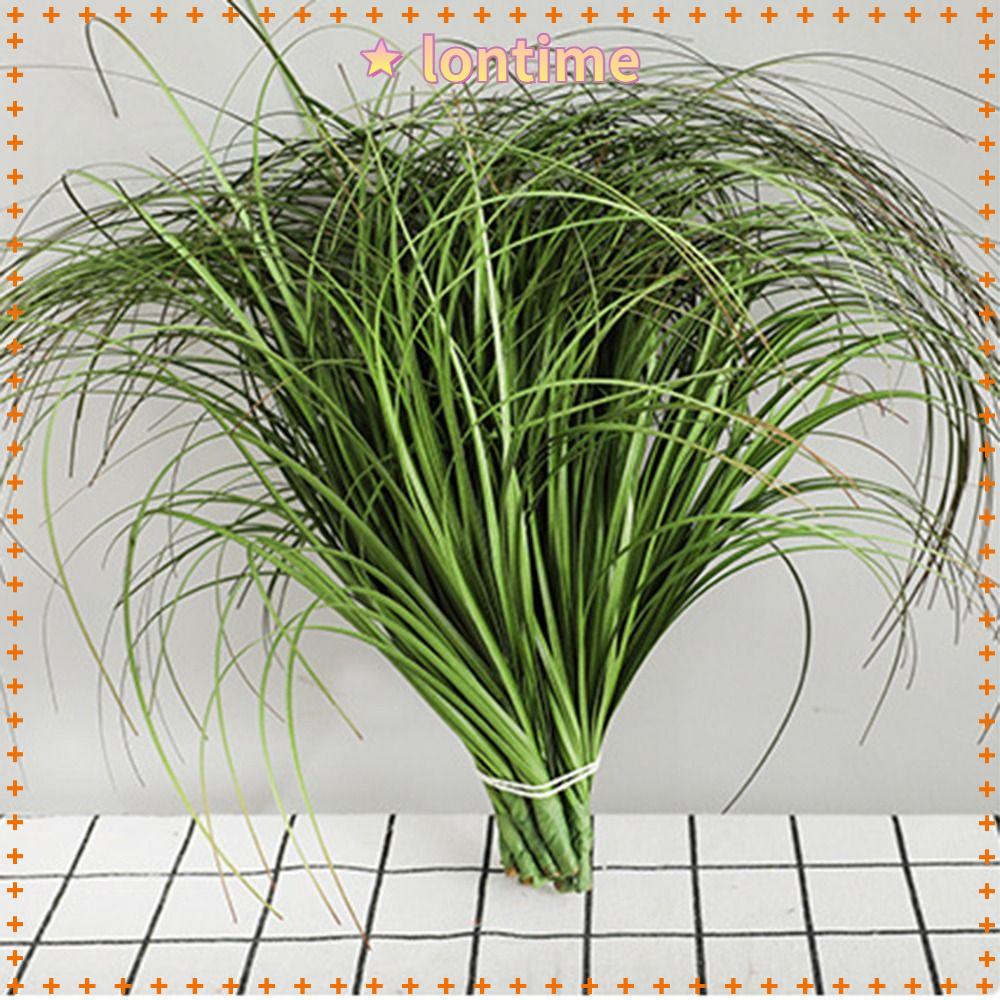 Set 5 Nhánh Cỏ Nhân Tạo Treo Tường Trang Trí Giáng Sinh