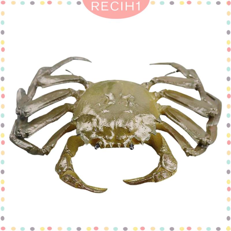 Mô Hình Sinh Vật Biển Đồ Chơi Cho Bé