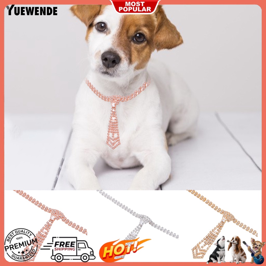 Vòng Cổ Thú Cưng Mặt Sáng Bóng Trang Trí Lễ Hội