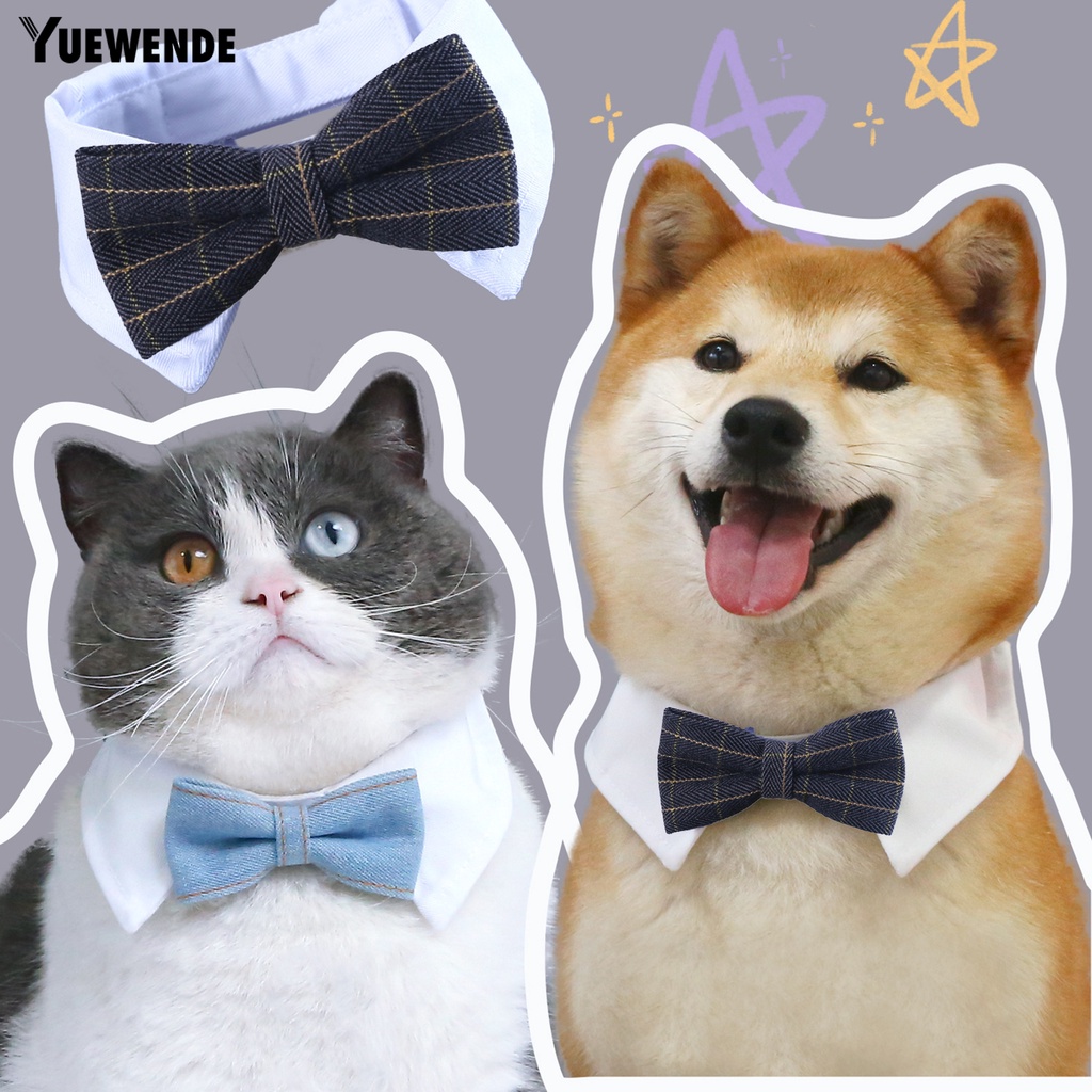 Vòng Cổ YQ.E Mềm Mại Có Thể Điều Chỉnh Dành Cho Thú Cưng