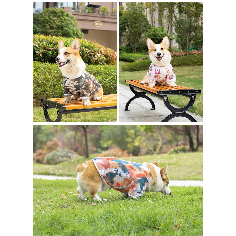 Áo Thun Mùa Hè Thời Trang Cho Thú Cưng Size XL-9XL