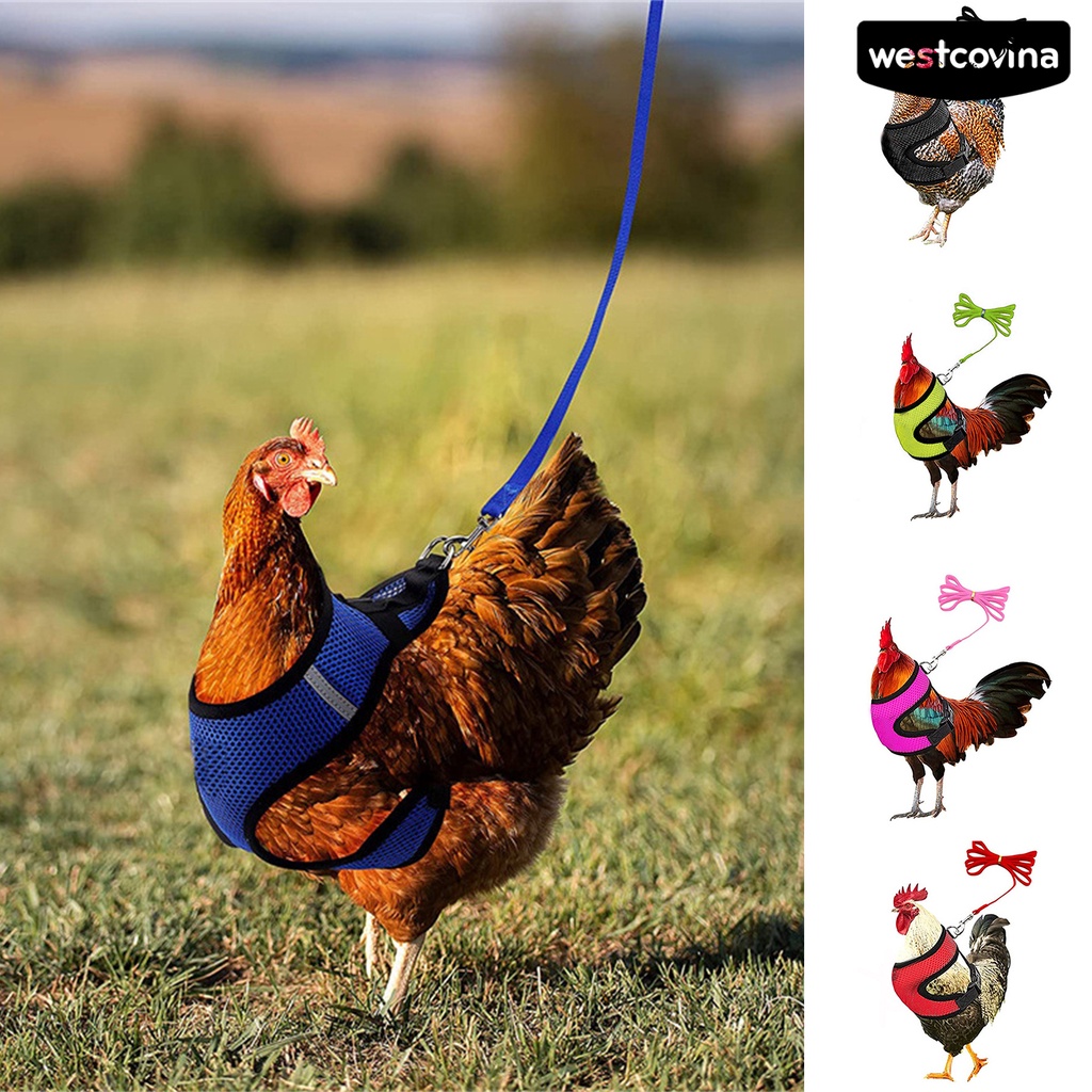 [COD]♞1 Bộ Dây Đai Dắt Gà / Vịt Thoáng Khí Tùy Chỉnh Tiện Dụng Cho Sân Vườn