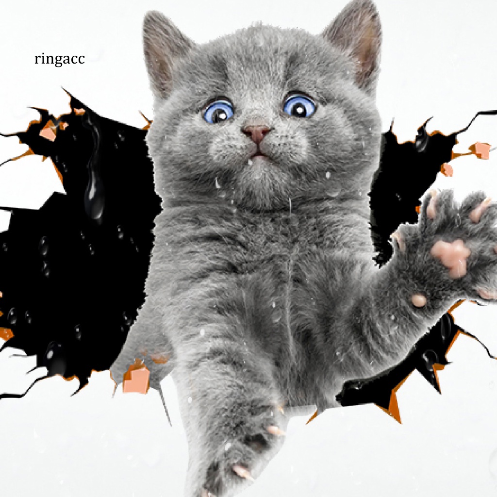 Miếng Dán Đề Can 3D Bắt Mắt Chống Nước Vui Nhộn Trang Trí Nhà Cửa / Xe Hơi