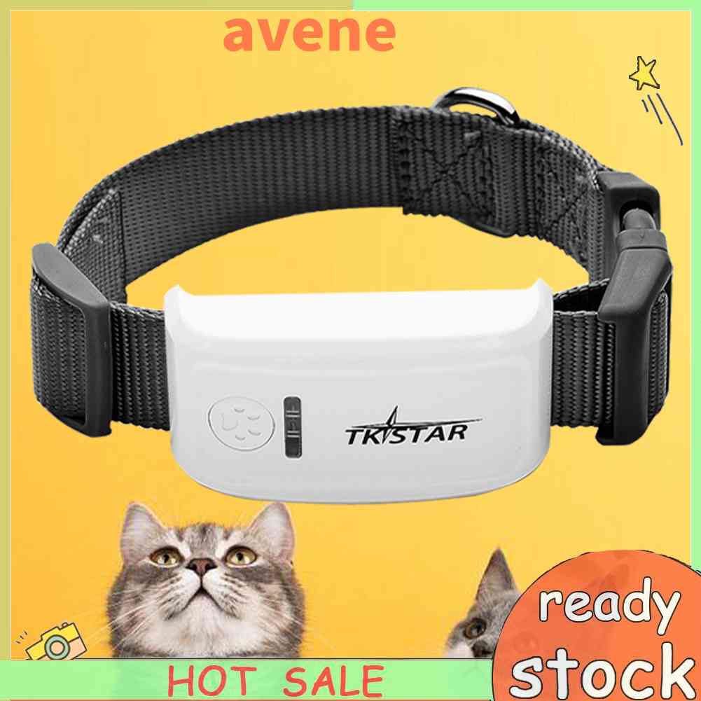 Định vị GPS Vòng cổ theo dõi chó cưng Định vị định vị Phụ kiện GPS thực tế