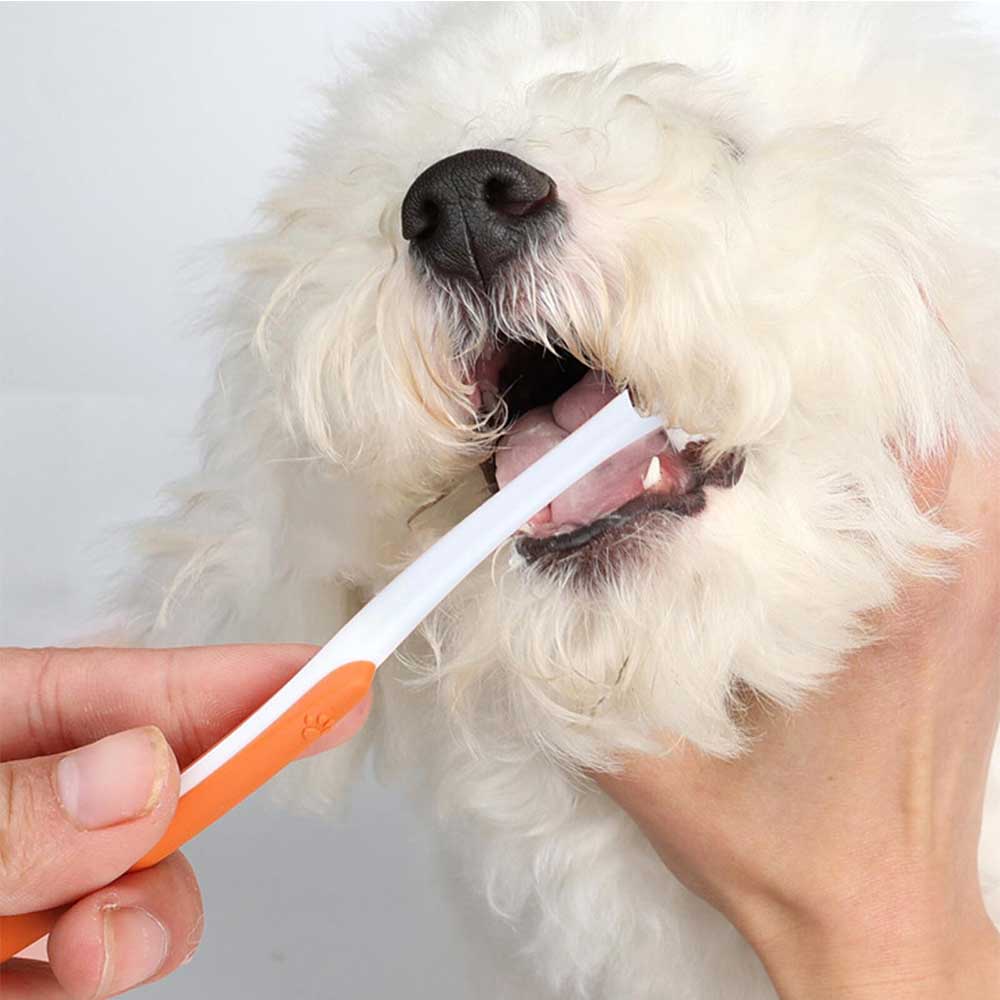 Pet Toothpaste And Toothbrush Puppy Tooth Brushing Kit Small Dog Finger Brush