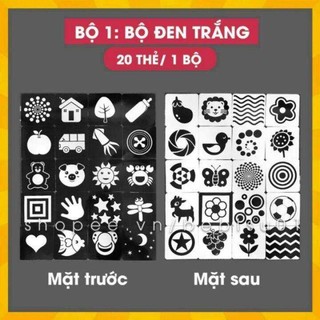 Bộ thẻ Flashcard Kích Thích Thị Giác (Trọn 4 tập)
