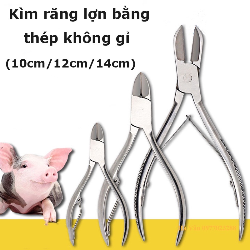 Kìm Cắt Răng Heo (Kìm bấm nanh heo), Công Cụ Chuyên Dùng Cắt Tỉa Răng Cho Lợn Con 10cm/12cm/14cm