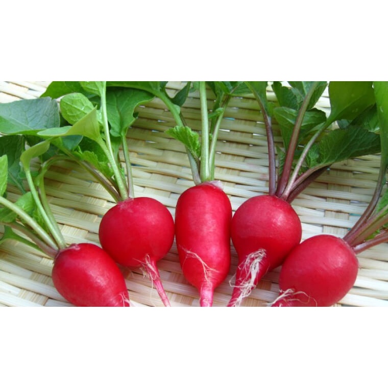 Hạt Giống Củ Cải Đỏ 2gram