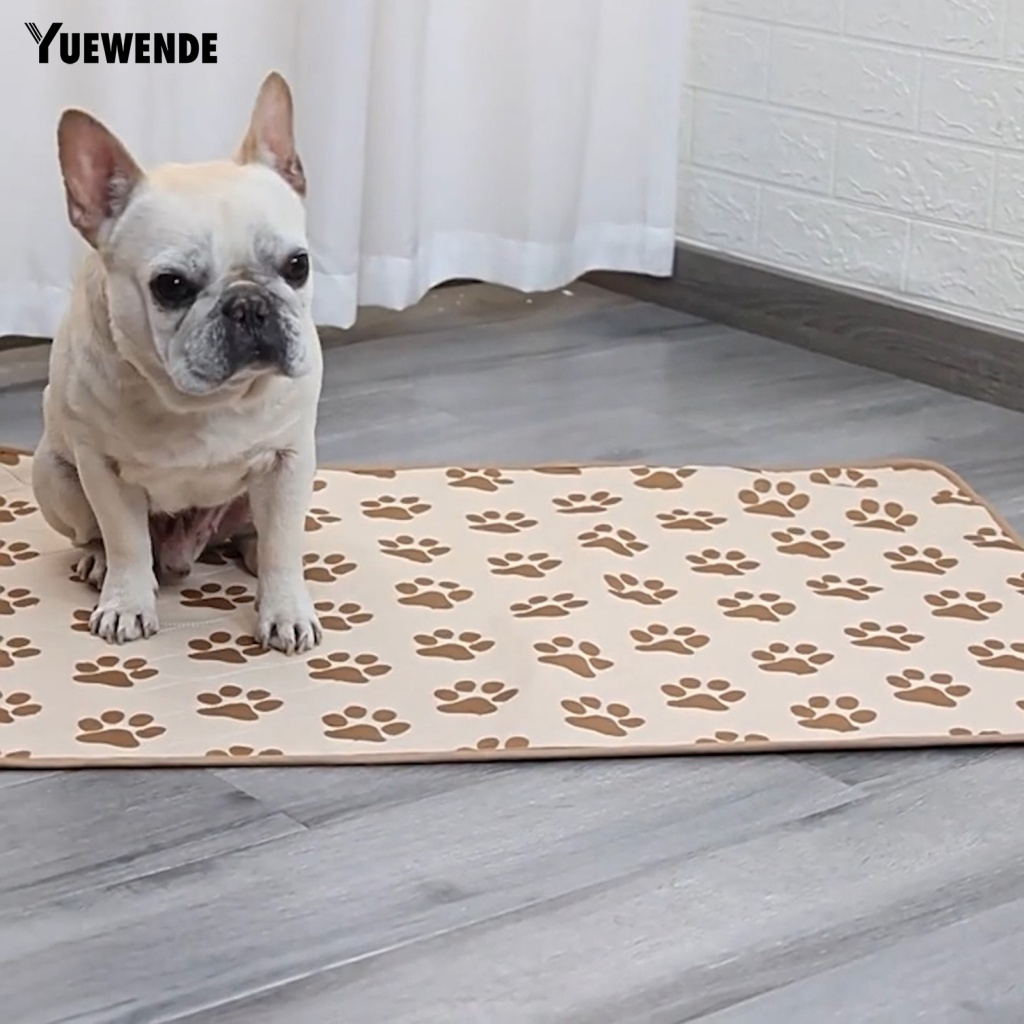 Thảm Lót Huấn Luyện Thú Cưng Lâu Trôi Tiện Dụng