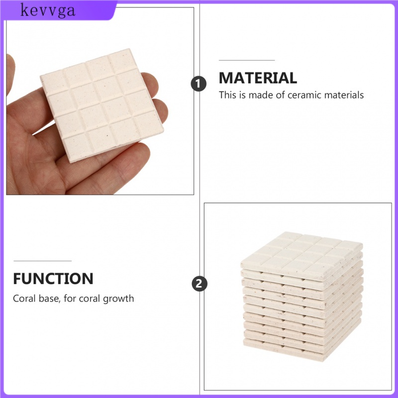 Set 10 Đĩa Sứ San Hô Hỗ Trợ Bể Cá