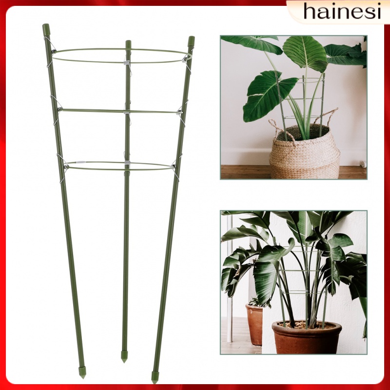 Bộ 3 Khung Giá Đỡ Chậu Cây Leo Bằng Kim Loại Tiện Dụng