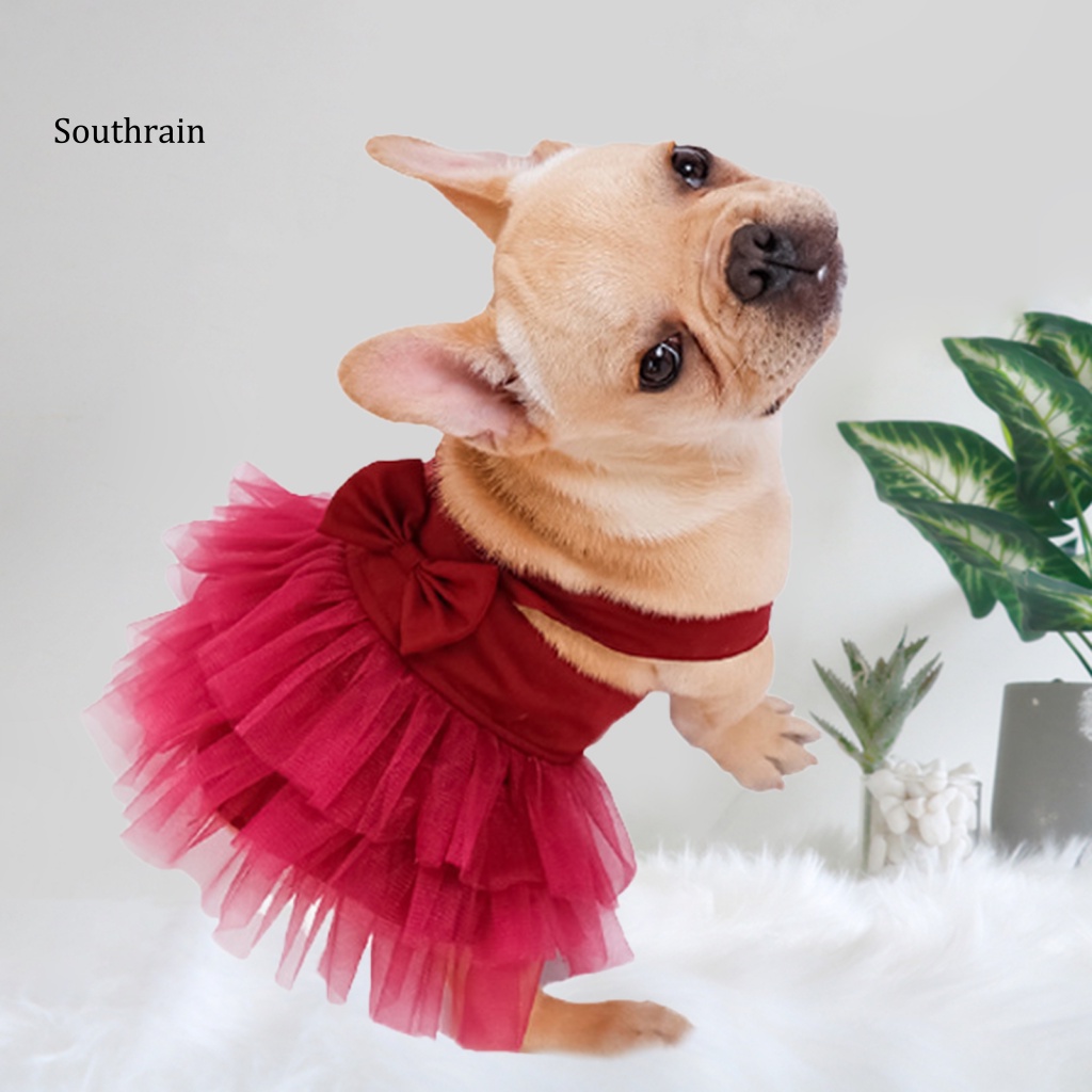 Đầm Tulle Không Tay Thoáng Khí Thời Trang Mùa Hè Cho Cún Cưng