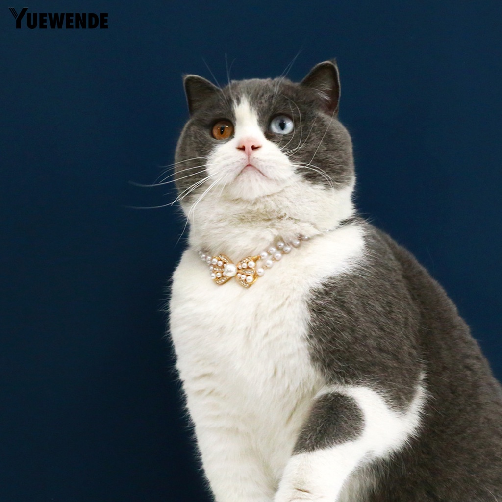 Vòng Cổ Đính Ngọc Trai Nhân Tạo Thời Trang Dành Cho Thú Cưng