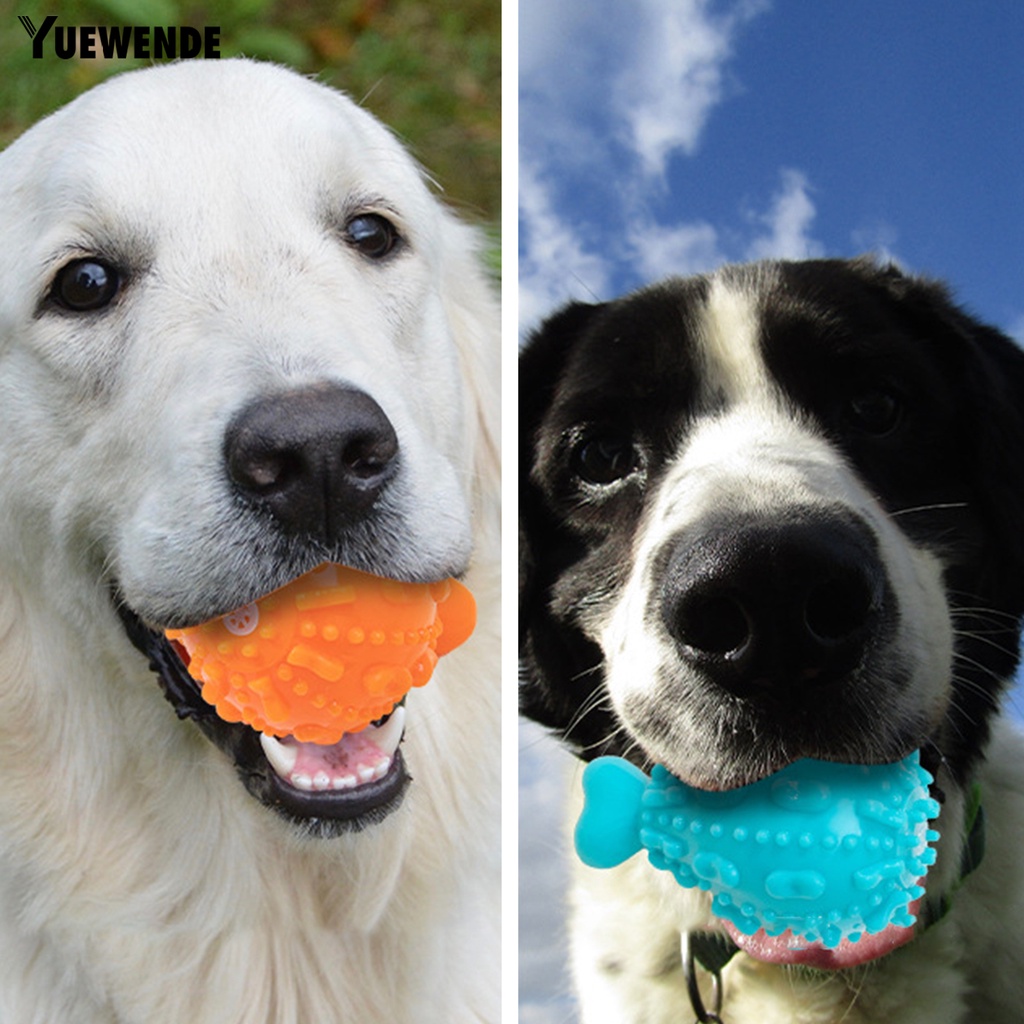 Yq.e Đồ Chơi Gặm Tương Tác Với Thiết Kế Hoạt Hình Dễ Thương Chống Tróc Có Tiếng Kêu Cho Thú Cưng