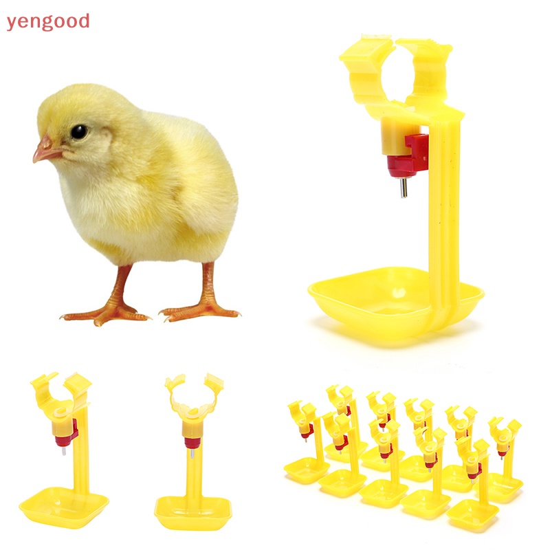 Set 10 Dụng Cụ Cho Gà Vịt Uống Nước Tiện Dụng