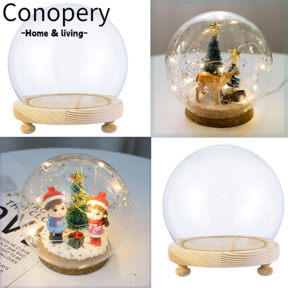 CONOPERY Lọ Thủy Tinh Trong Suốt Hình Cầu Dùng Đựng Hoa Trang Trí Bể Cá