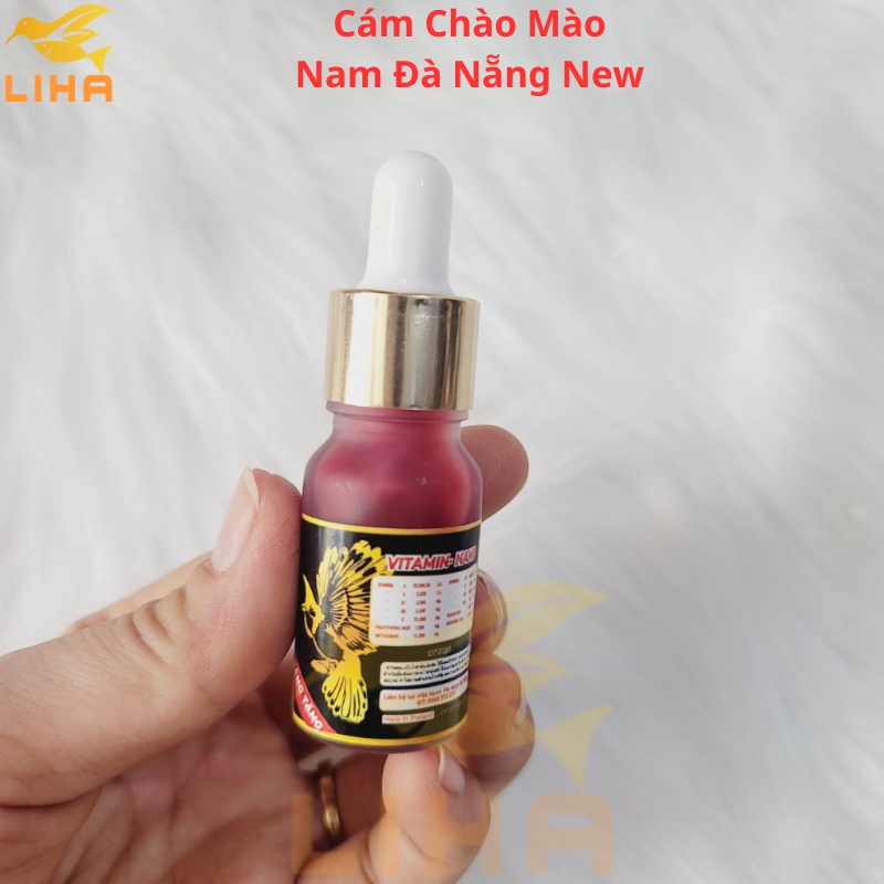 Cám chào mào Nam Đà Nẵng New