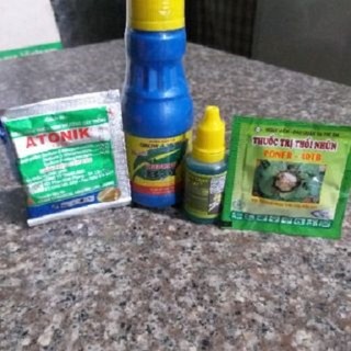 COMBO 4 CHẾ PHẨM CHĂM SÓC HOA LAN ( VIÊN THỐI NHŨN - ANTONIK - HÙNG NGUYỄN - B1 )