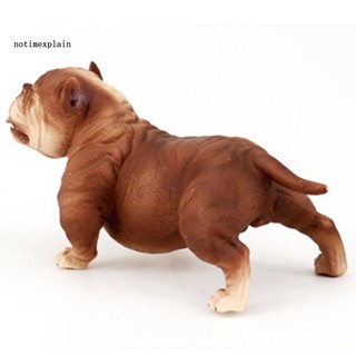 Mô Hình Chó Pitbull Mini Dùng Để Trang Trí