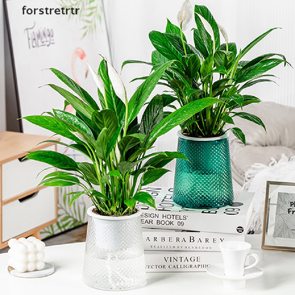 1 Chậu Cây Tự Tưới Nước Hình Tròn Mini Bằng Nhựa