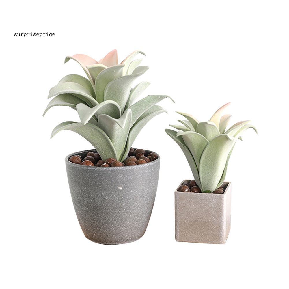 Chậu Cây Bonsai Giả Mini Trang Trí Ban Công