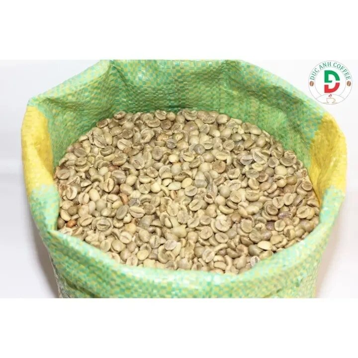 cà phê nhân sống chưa rang Robusta Buôn Ma Thuột - 500g (cây giống chi lăng 47)