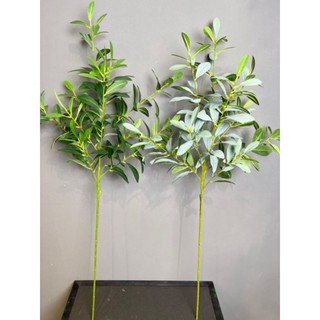 Cành lá oliu giả - Cành oliu các loại dài 90 cm cắm điểm trang trí