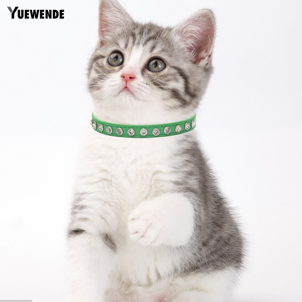 Vòng Cổ Xinh Xắn Cho Thú Cưng