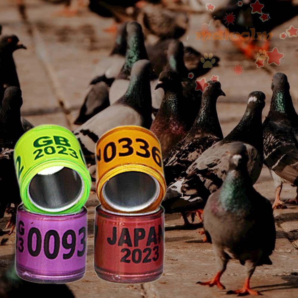 Chân Chim Bồ Câu Bằng Nhựa Nhôm 8mm Nhiều Màu Sắc