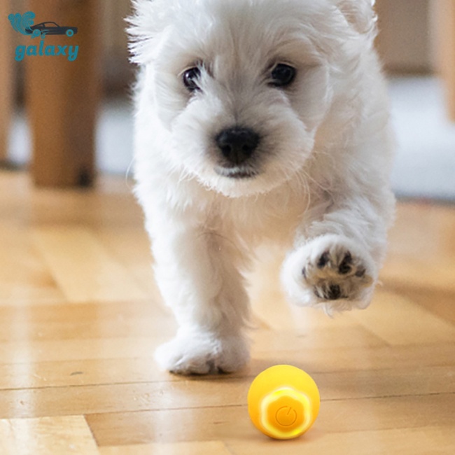 Bóng Lăn Tương Tác Thông Minh Có Đèn Cho Mèo Hình galaxy