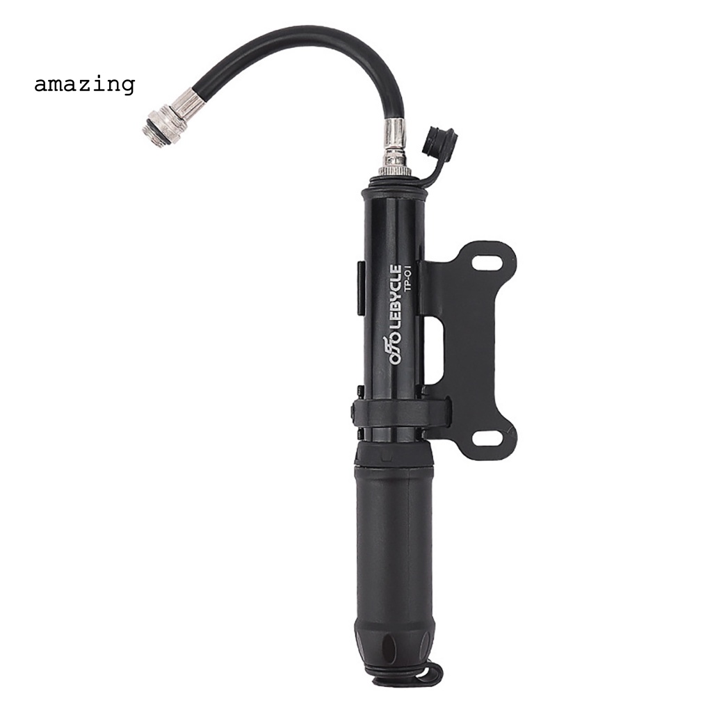 Ống Bơm Xe Đạp Mini Presta Schrader Tiện Dụng