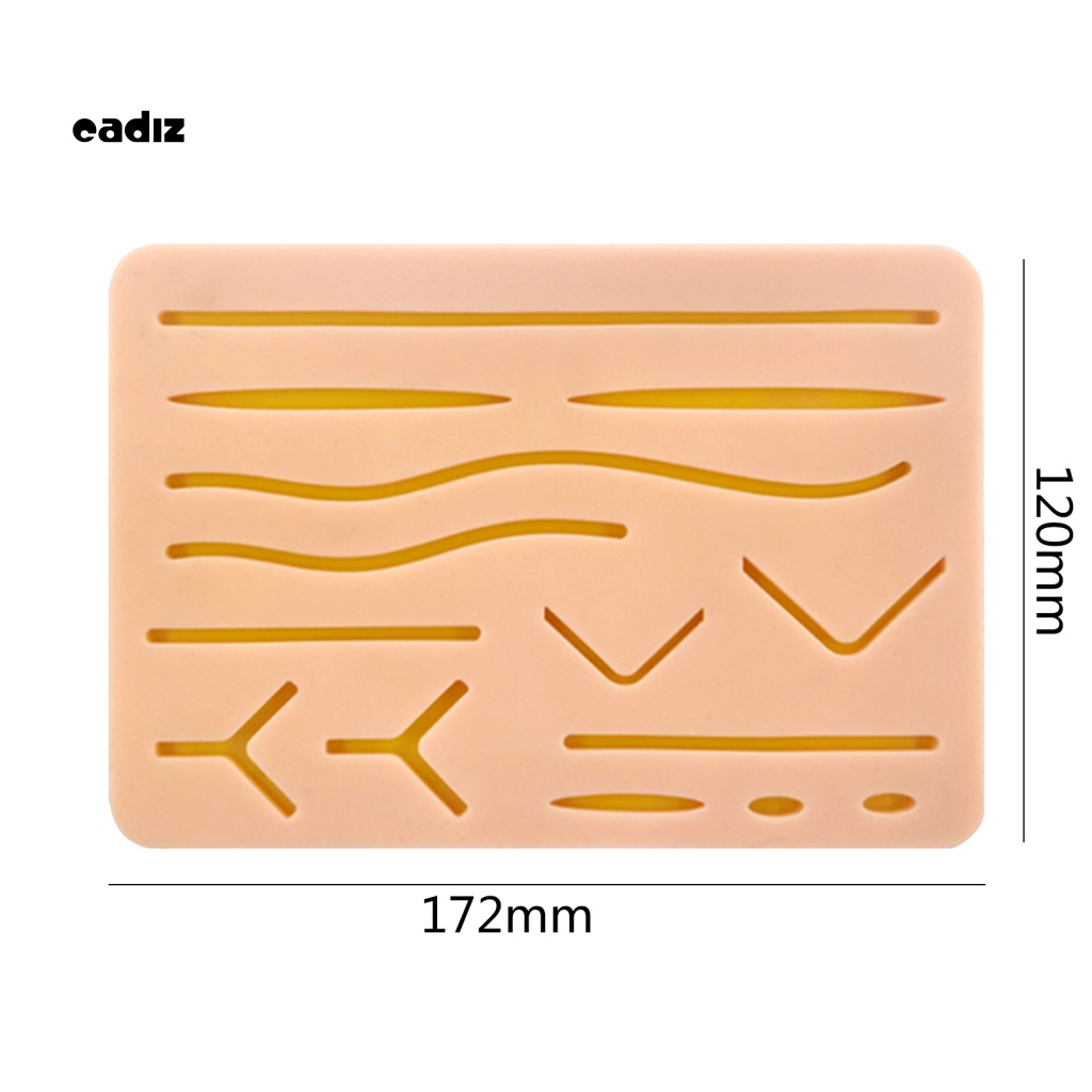Đệm Silicone Giả Da Hỗ Trợ Luyện Tập Nha Khoa